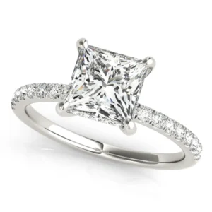Princess Cut Hidden Halo Engagement Ring