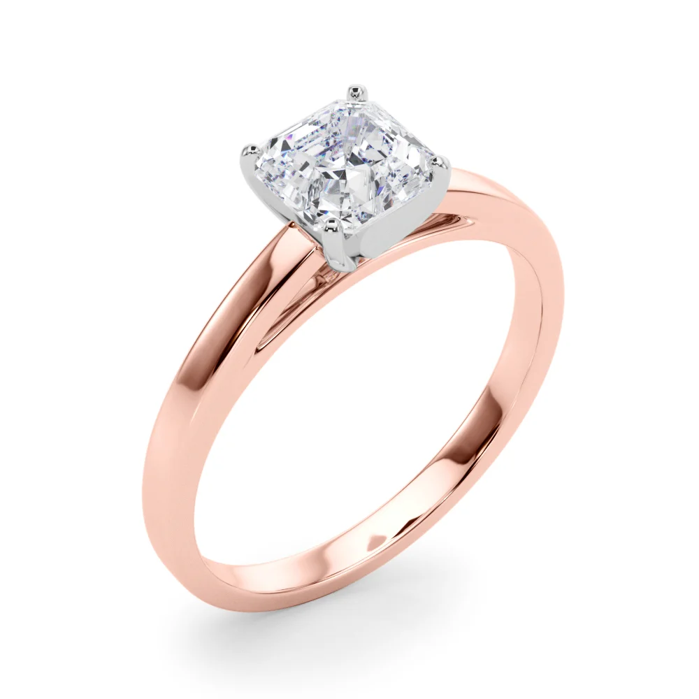 Classic Plain Cathedral Engagement Ring - Image 111