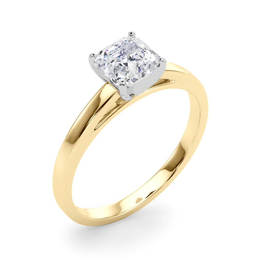 Classic Plain Cathedral Engagement Ring - Image 71