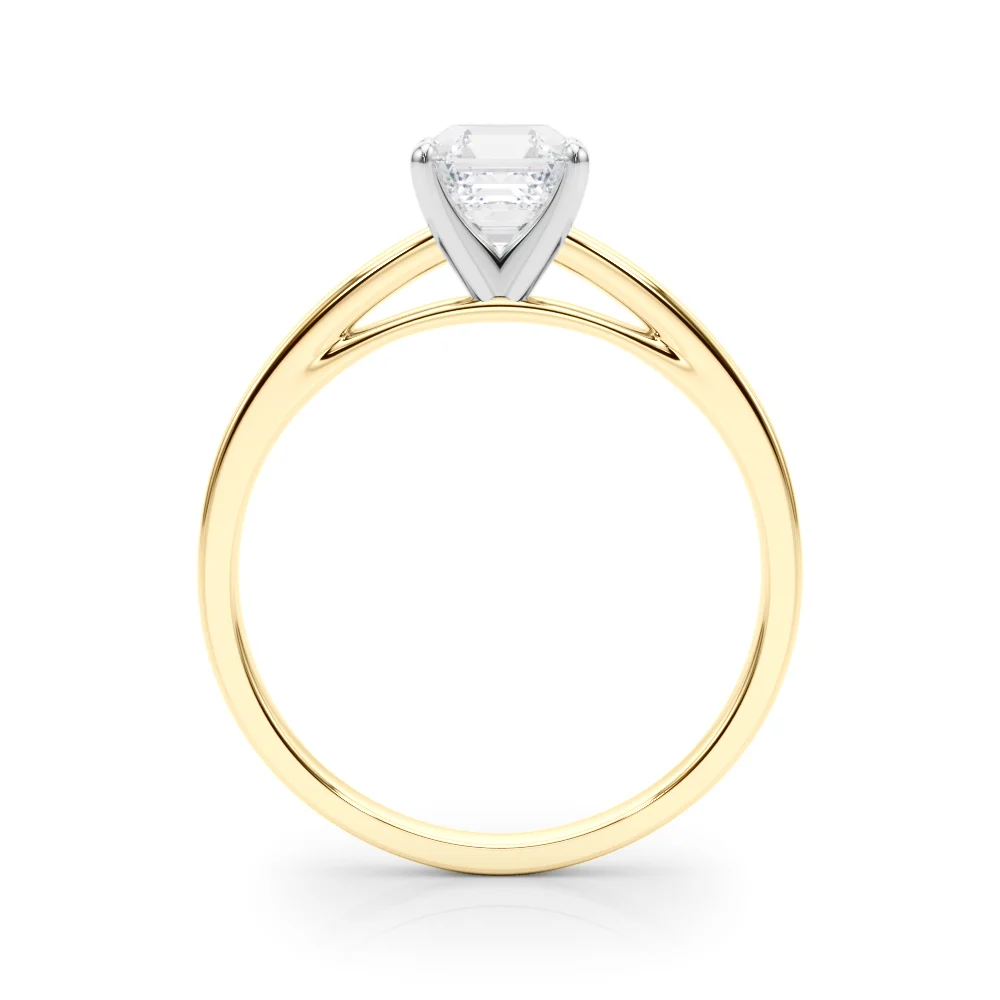 Classic Plain Cathedral Engagement Ring - Image 51