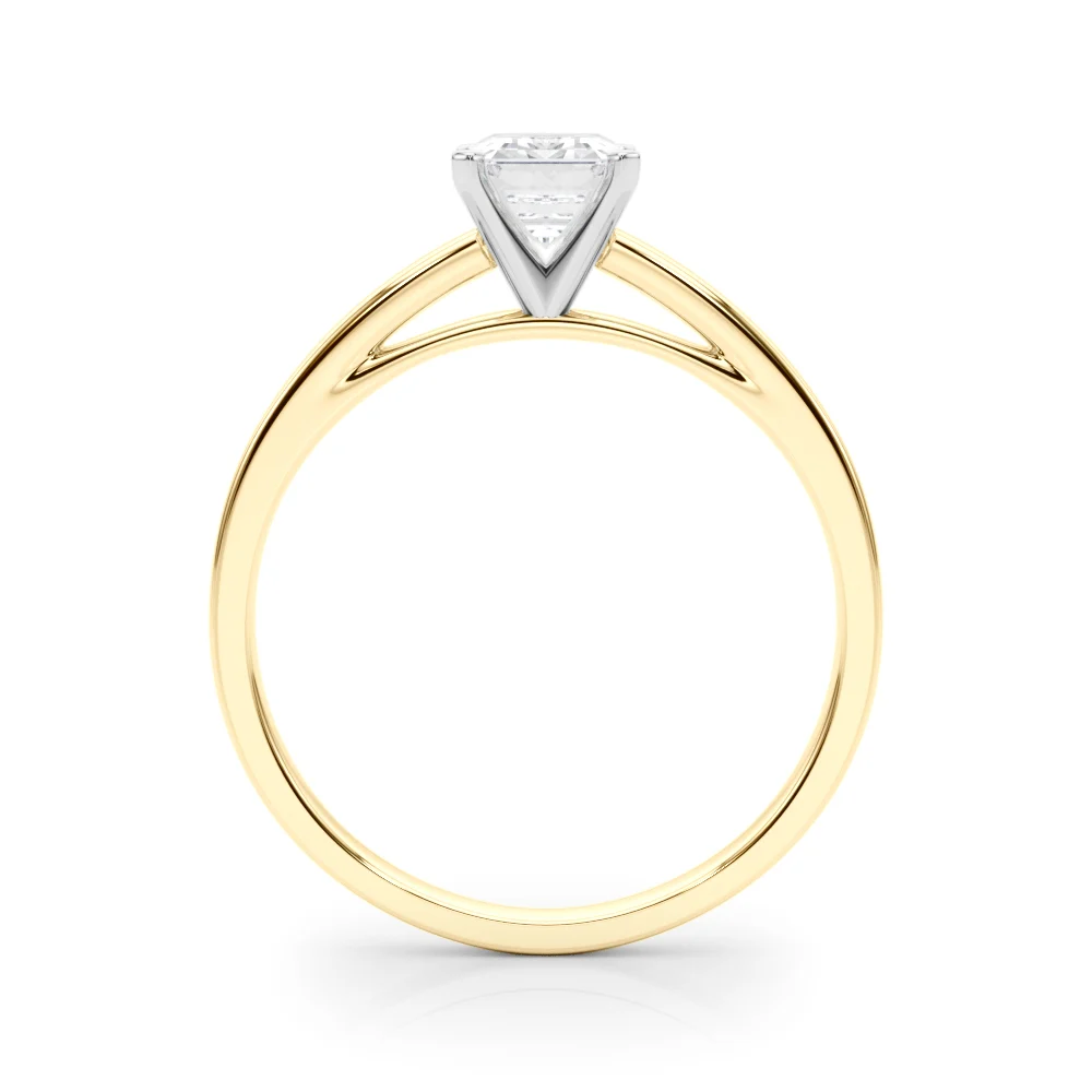 Classic Plain Cathedral Engagement Ring - Image 53
