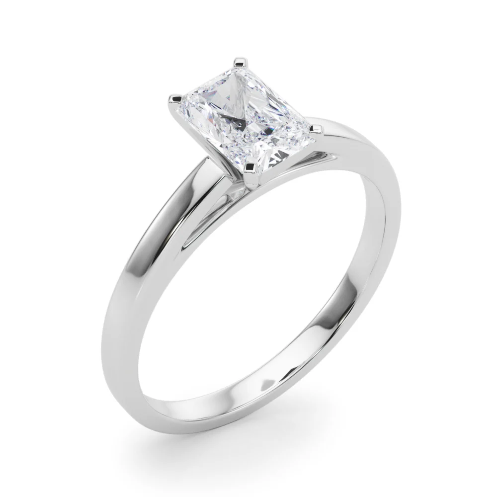 Classic Plain Cathedral Engagement Ring - Image 38