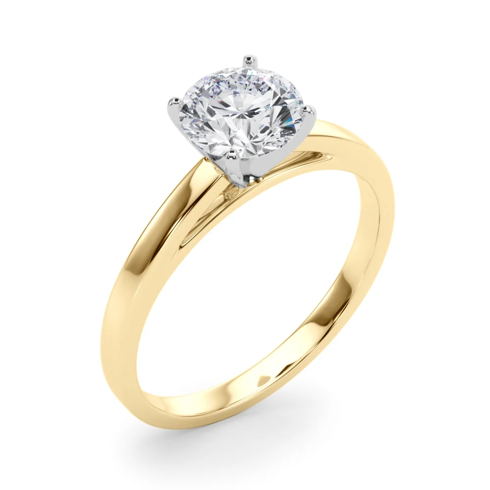 Classic Plain Cathedral Engagement Ring - Image 79