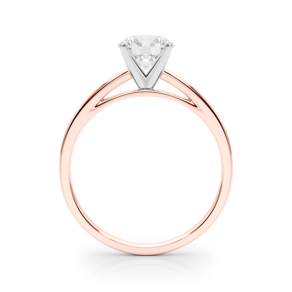 Classic Plain Cathedral Engagement Ring - Image 99