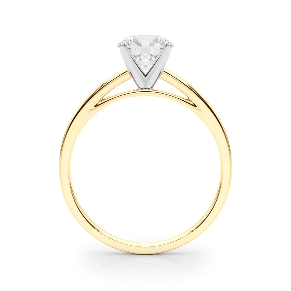 Classic Plain Cathedral Engagement Ring - Image 59