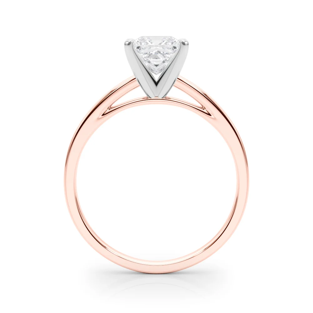 Classic Plain Cathedral Engagement Ring - Image 100